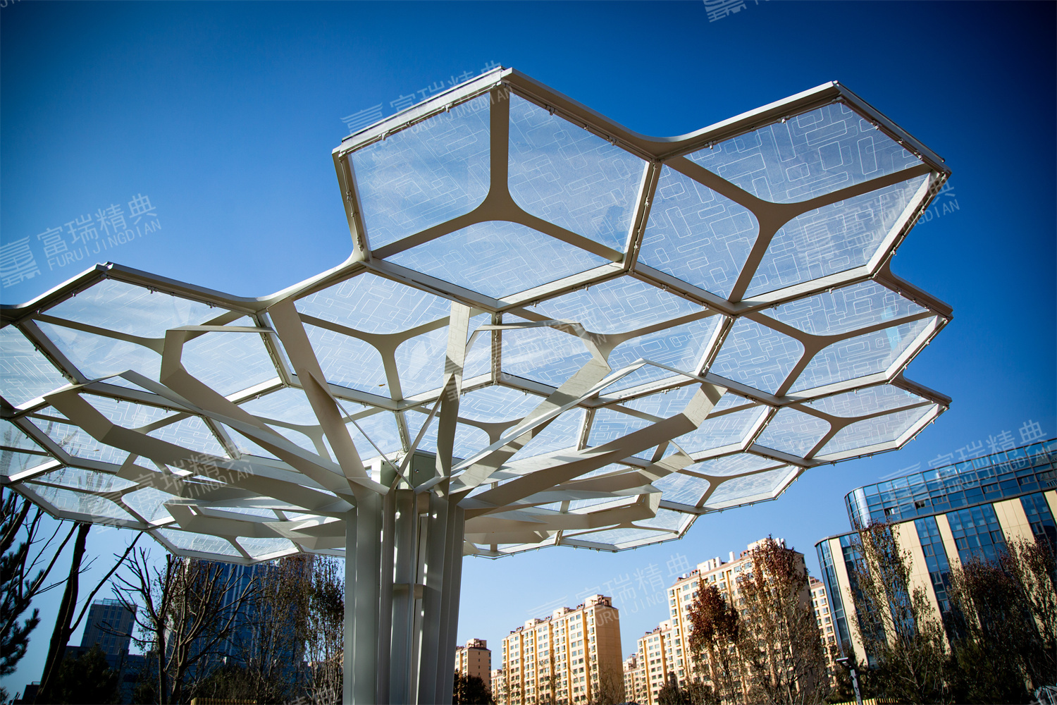 1646620761178221.jpg 1646620761178221.jpg